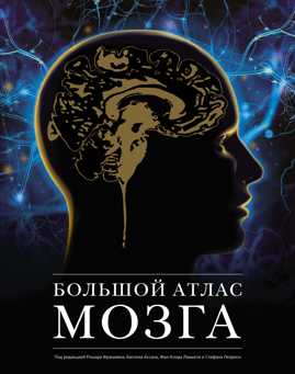  книга Большой атлас мозга