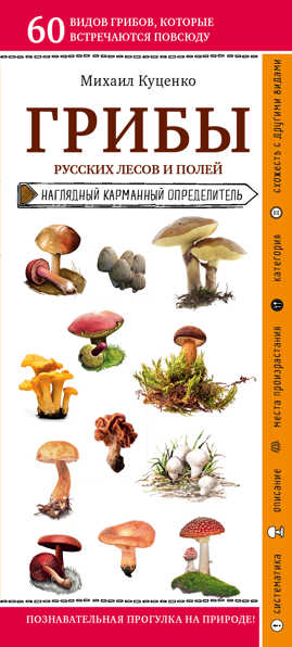  книга Грибы русских лесов и полей