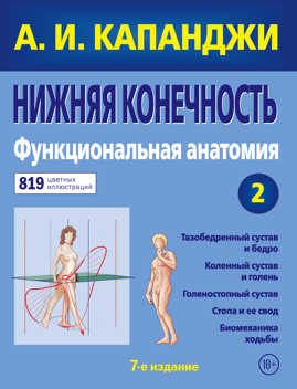  книга Нижняя конечность: Функциональная анатомия (обновленное издание)