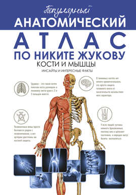  книга Популярный анатомический атлас по Никите Жукову: кости и мышцы. Инсайты и интересные факты