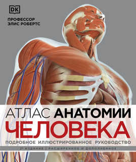  книга Атлас анатомии человека (DK). Подробное иллюстрированное руководство
