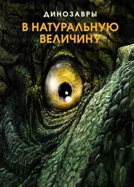  книга Динозавры в натуральную величину