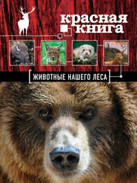  книга Красная книга. Животные нашего леса (ПР)