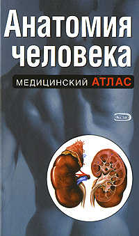  книга Анатомия человека