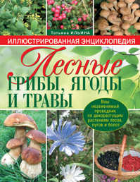  книга Лесные грибы, ягоды и травы