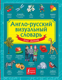  книга Англо-русский визуальный словарь для детей