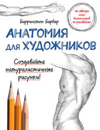  книга Анатомия для художников