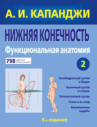  книга Нижняя конечность: Функциональная анатомия