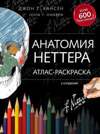  книга Анатомия Неттера: атлас-раскраска