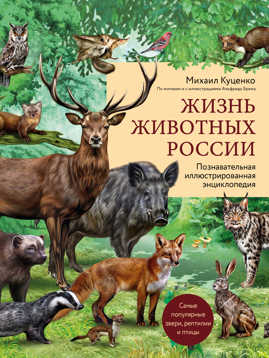  книга Жизнь животных России. Познавательная иллюстрированная энциклопедия