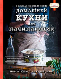  книга Большая энциклопедия домашней кухни для начинающих