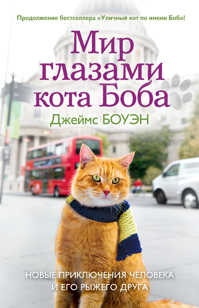  книга Мир глазами кота Боба. Новые приключения человека и его рыжего друга