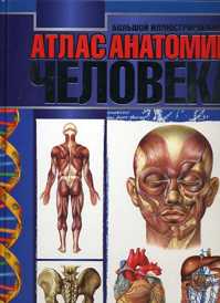  книга Большой иллюстрированный атлас анатомии человека