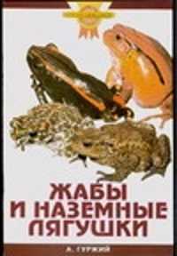  книга Жабы и наземные лягушки