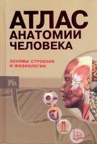  книга Атлас анатомии человека : основы строения и физиологии = Анатомический атлас