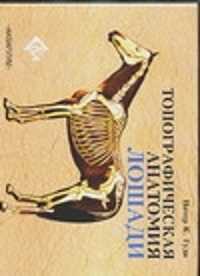 П гуди. Топографическая анатомия лошади Гуди. Топографическая анатомия лошади - Питер Гуди. Топографическая анатомия лошади. Анатомия лошади книга.