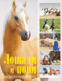 книга Лошади и пони