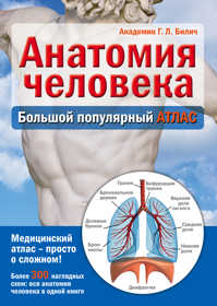  книга Анатомия человека: большой популярный атлас