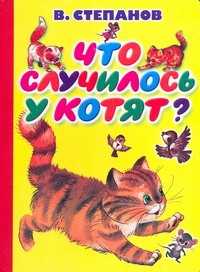  книга Что случилось у котят?