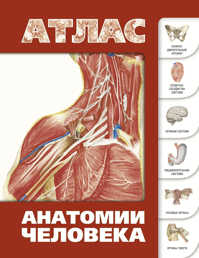  книга Атлас анатомии человека
