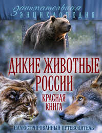  книга Дикие животные России. Красная книга