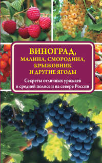  книга Виноград, малина, смородина, крыжовник и другие ягоды