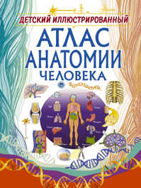  книга Детский иллюстрированный атлас анатомии человека