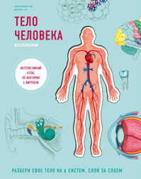  книга Тело человека. Интерактивный атлас по анатомии с вырубкой. Разбери свое тело на 6 систем. Слой за слоем